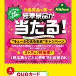「QUOカード　3,000円分 BRUNO　マルチスティックブレンダー」の画像