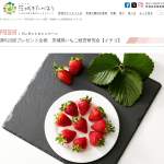 「茨城県いちご経営研究会【イチゴ】」の画像