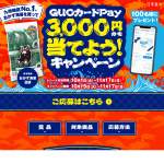 「5QUOカードPay 3,000円分」の画像