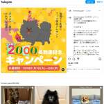 「FirstMateドッグ＆キャットフード」の画像