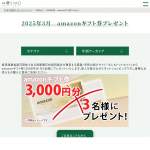 「amazonギフト券（3000円分）」の画像