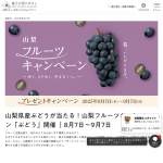 「山梨県産ぶどう「サンシャインレッド」」の画像
