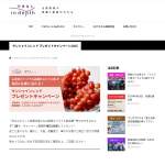 「山梨県産高級ブドウ「サンシャインレッド」1房」の画像