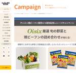 「Oisix旬野菜と焼ビーフンの詰め合わせ」の画像