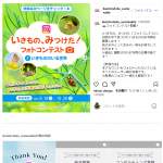 「カタログギフト「やさしいみらい　さらりコース」」の画像