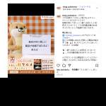 「お肉ギフトカード、お米ギフトカード」の画像