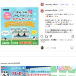 「北海道ミルクプリン 生乳仕立て」の画像