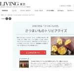 「「& OIMO TOKYO」の『チョコがけ 蜜芋けんぴチップス』」の画像