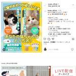 「猫用おやつと食器セット等」の画像