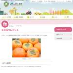 「久留米産柿「富有」1ケース」の画像