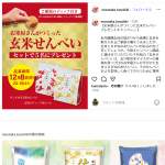 「玄米のディップせんべい、さしすせそ玄米せんべい各１袋」の画像