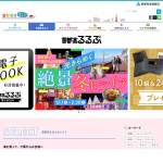 「東京ドイツ村 無料招待券」の画像