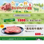 「モッタイナイビーフ&ldquo;黒毛和牛肉塊&rdquo;1kg・QUOカード」の画像