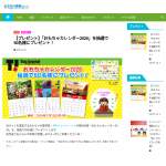 「おもちゃカレンダー」の画像