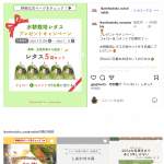 「水耕栽培レタス&times;5袋」の画像