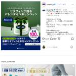 「豪華セタフィル2本セット」の画像