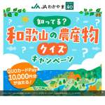 「QUOカードPay　10,000円分」の画像