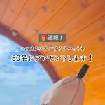 「レイサー沖縄那覇オリジナルサウナハット」の画像