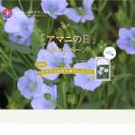 「可憐な薄紫色の花が咲くアマニの花の種」の画像