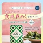 「マルドン シーソルト缶入り　1個」の画像