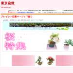 「優美な花を咲かせるミニ盆栽」の画像