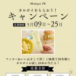「カロポイ10本入り」の画像