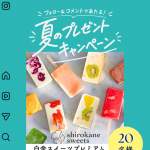 「プレミアムアイスキャンディ10本セット」の画像