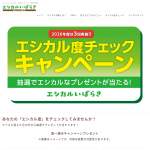 「オリジナルエコバッグ、東京バルTHIS IS SALAD、コープヌードル」の画像