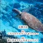 「レイサー沖縄那覇美栄橋もしくは泊ふ頭ファミリールーム無料宿泊」の画像
