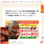 「直火焼 デミグラスソース ハンバーグ 22個セット」の画像