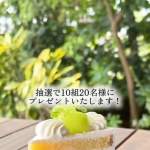 「ケーキセット」の画像