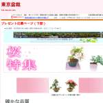 「花が咲くミニ盆栽」の画像