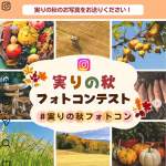 「カタログギフト「やさしいみらい　さらりコース（5,000円コース）」」の画像